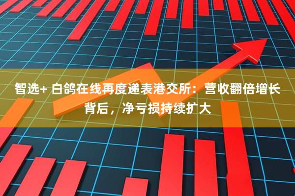 智选+ 白鸽在线再度递表港交所：营收翻倍增长背后，净亏损持续扩大
