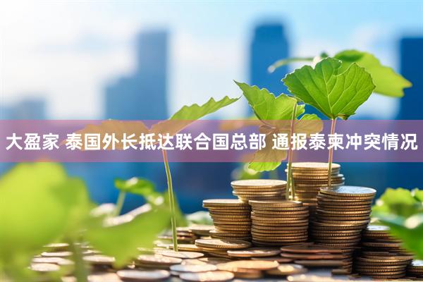 大盈家 泰国外长抵达联合国总部 通报泰柬冲突情况